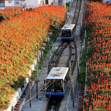 Villamar Style Maison 4*